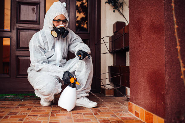 Reliable Emergency Pest Control contractor in Sullivan's Island, SC by Nex Pest Control