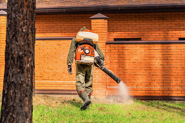 Trusted Emergency Pest Control service in Sullivan's Island, SC - Nex Pest Control